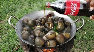 Delicious Field Snail Cooking With Coca Cola  Kdeb Cooking [upl. by Adnilym640]