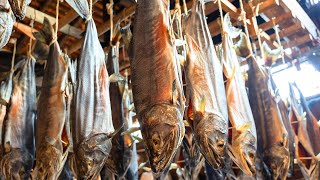 How to make the traditional Salted Aged Salmon that has been handed down for 1000 years in Japan [upl. by Nedyarb]