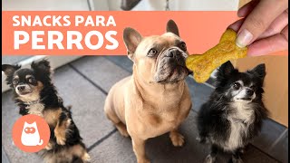 GALLETAS para PERROS con 3 Ingredientes 🐶  Premios Caseros para Perros [upl. by Annaesor758]