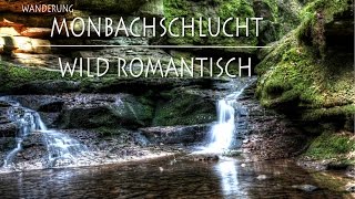 Wildromantische MONBACHSCHLUCHT  Monbachtal  Schwarzwald Ostweg 1 Etappe [upl. by Boarer684]