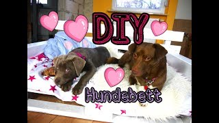 ♥ DIY♥ Hundebett aus Paletten [upl. by Imis20]