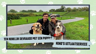 HOE IS ANOUK SMULDERS TEN HUWELIJK GEVRAAGD  NINO’S UITLAATERVICE AFL5 [upl. by Niraj680]