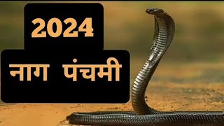 नाग पंचमी 2024 तिथि दिन व दिनांक और महत्व  Nagpanchami 2024 date and time  Nagpanchmi 2024 [upl. by Innad]