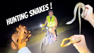 Snake Hunting in the Everglades [upl. by Ware]