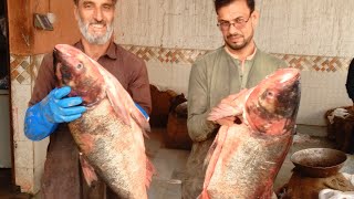 Fish form fish best clip nice video the fish مچلی فارم ،بڑی مچلیوں کی جگہ، [upl. by Gradey]