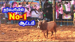 தர்மபுரியில் No 1 ஆட்டம் ஆடிய மங்கதேவன்பட்டி கணேசன் கருப்பையா காளை [upl. by Enialahs]