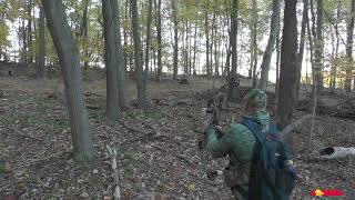 79 Second Self Filmed Archery Doe 2024 [upl. by Akir755]