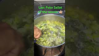 Last Poke Sallet of The Season [upl. by Eat239]