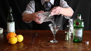 How to Make a Gin Martini [upl. by Ylatfen432]