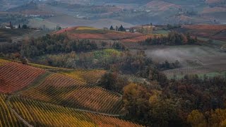 Langhe in autunno WE360 tra i vigneti piemontesi [upl. by Eeliah]