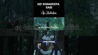 Ape Hadhakamඅපෙ හාදකම්Lyrics Video love songtrendinglovesongstatussinhalasongs manoparakata [upl. by Nichole]