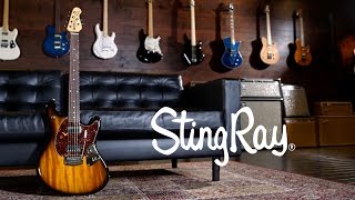 Ernie Ball Music Man StingRay Guitar [upl. by Ainigriv]