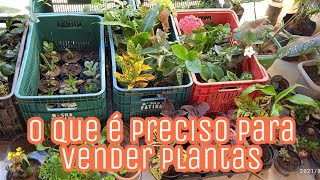 O que é preciso para vender plantas [upl. by Radnaskela]