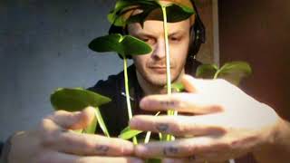 Internal Garden  Music of the Plants Subpac Justin Wiggan [upl. by Novyart49]