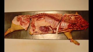 🥩⎮ Udskæring af gris  skinke midterstykke og forende [upl. by Mallin]