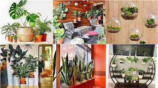 29 Indoor Plants You MUST Add to Your Home This Year [upl. by Cranford]