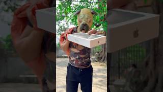 The story of the dog giving the man an iPhone 📱 dog trending viralvideo shortvideo iphone [upl. by Youngran]