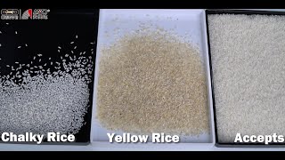 2023 AMD RG Series Rice Color Sorting Show [upl. by Ettezyl]