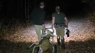 My First PUBLIC LAND Buck 2024 Northern WI Bow hunting [upl. by Maclaine]