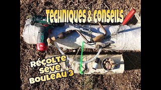 🗝 3 Sève bouleau 👉 Comment la récolter plusieurs techniqueS amp conseils rebouchage etc [upl. by Downing]