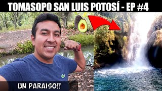 LLEGAMOS A TAMASOPO CAMPING Y A LA CASCADA DEL AGUACATE EN SAN LUIS POTOSI  EP 4 mochileando [upl. by Yllet530]