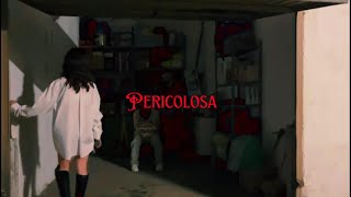 Mister Bex lilpaki PERICOLOSA Official Video [upl. by Aidua136]