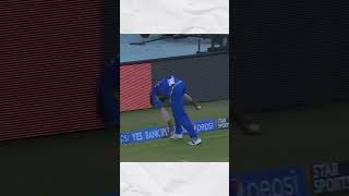 best catches in ipl history shorts viral ipl cricket [upl. by Aynom128]