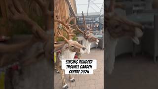 Reindeer at Trowell garden Centre 2024 [upl. by Nash835]