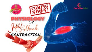 Muscle Contraction  Physiology  Coming Soon  Visual Animation ConclusionPoint [upl. by Aliak]