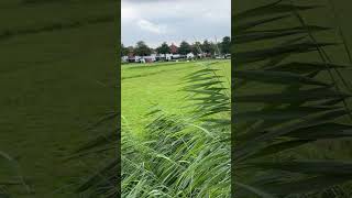 Kinderdijk Netherlands kinderdijk netherlands europe nature shorts viralvideo naturelovers [upl. by Erusaert]