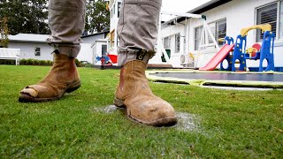 Lots of rain lately  Water amp drainage issues  How to treat amp prevent fungal disease in your lawn [upl. by Hniv10]