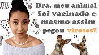 DRA MEU ANIMAL FOI VACINADO E MESMO ASSIM PEGOU VIROSES [upl. by Peterec]