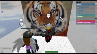 awesomesupermario246s ROBLOX video [upl. by Craggie184]