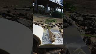 POKING HOLES WITH A STICK wreck this journal [upl. by Udenihc]