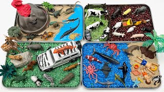 Animals Diorama In 4 Tray  Small World Ocean Safari Farm Dinosaur World [upl. by Nioe159]