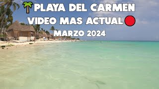 PLAYA DEL CARMEN HOY ASI ESTAN LAS PLAYAS  AL MOMENTO 20 MARZO 2024🔴 [upl. by Adaven]