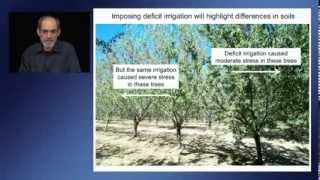 Crop water stress detection and monitoring [upl. by Haya]