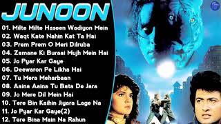 Junoon Movie All Song [upl. by Animlehliw]