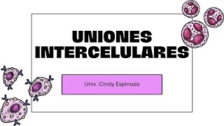 Semana 7  Uniones intercelulares  Señalización celular  Biología  01102023 [upl. by Harms]