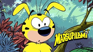 Marsupilami Channel Trailer 🇺🇸 [upl. by Yesnil43]