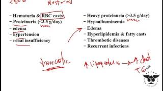 Nephritic and Nephrotic glomerular disorders glomerulonephritis  USMLE STEP 1 [upl. by Neira]