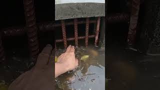 Unclogging Culvert Drain remove drain unclog culvert short [upl. by Etirugram]