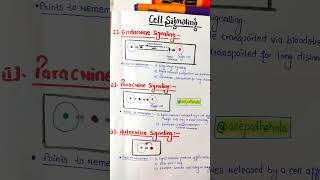 Cell Signalling  Endocrine  Paracrine  Autocrine acepathshala shorts cellsignaling biology [upl. by Fairman]