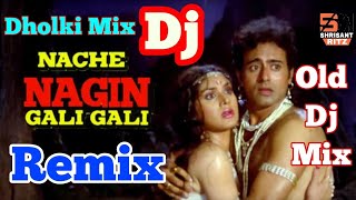 Nache Nagin Gali Gali  Old Dj Remix Dance Song  Nagin Special Song  Dholki Mix  ShriSantRitz [upl. by Taddeusz]