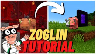 How to get a Hoglin into the Overworld Zoglin Tutorial Minecraft 118 [upl. by Keithley]