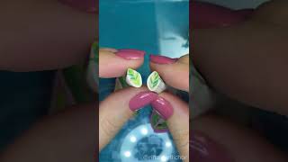 TUTORIAL miniature stromanthe plant with polymer clay 🌱 preview [upl. by Ienttirb]