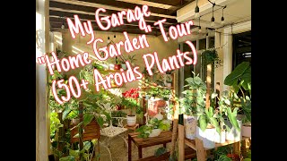 My Garage “Home Garden” Tour 50 Aroids Plants [upl. by Romain]