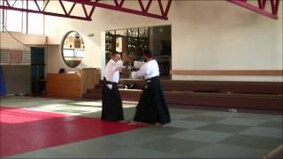 3 Kyu  Tachi waza  Katate Ryote Dori  Irimi Nage Ura [upl. by Aicilif]