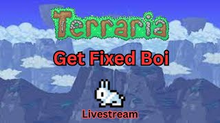 Terraria Get Fixed Boi Livestream [upl. by Ojeibbob105]