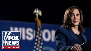 Enthusiasm for Kamala Harris is ‘not going to mean much’ come November GOP lawmaker [upl. by Kinny]